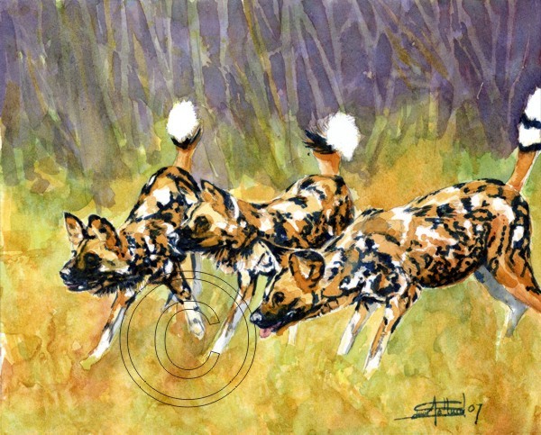 African Wild Dog Trio